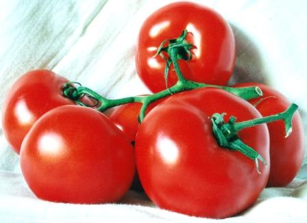 alkaline-foods-gorgeous-tomatoes-vine